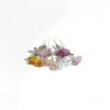 Plastic artificial flowers, simulated flowers, fake lanterns, artificial flowers, plastic decorative flowers Application Scenario